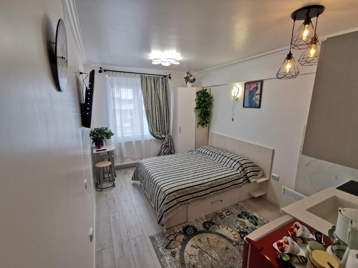 1 Small Studio, Central, Self Check In Σινάια Εξωτερικό φωτογραφία