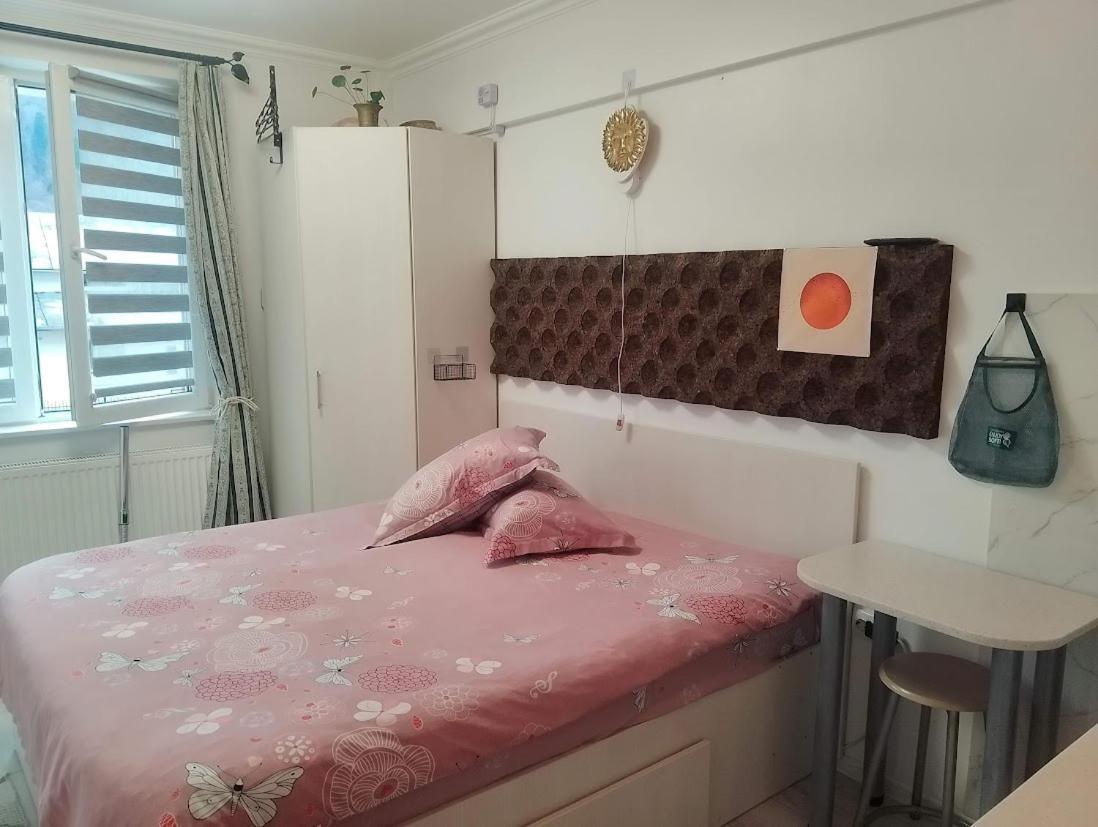 1 Small Studio, Central, Self Check In Σινάια Εξωτερικό φωτογραφία